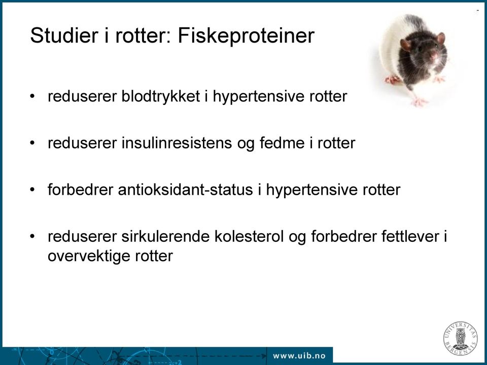 rotter forbedrer antioksidant-status i hypertensive rotter