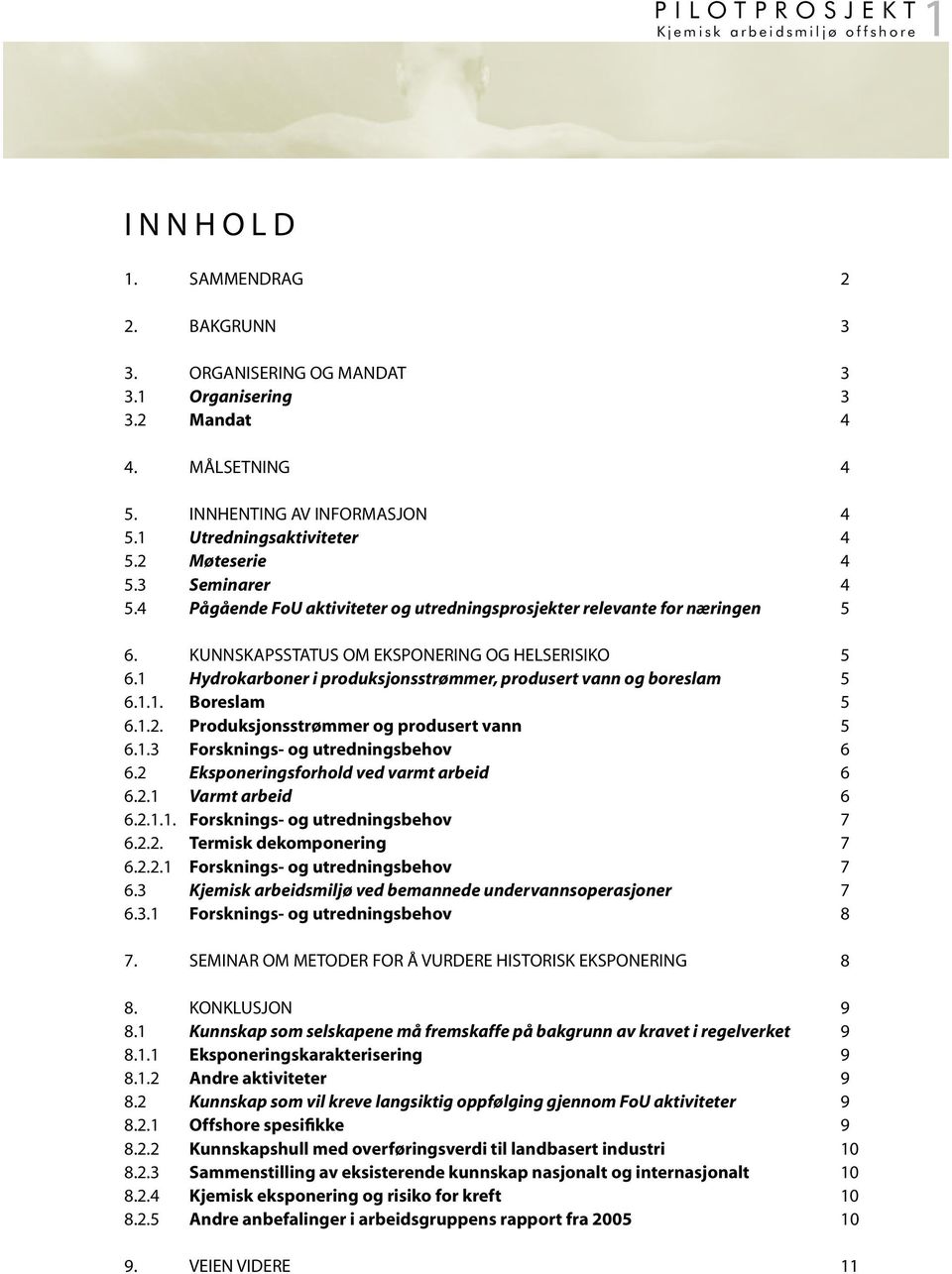 KUNNSKAPSSTATUS OM EKSPONERING OG HELSERISIKO 5 6.1 Hydrokarboner i produksjonsstrømmer, produsert vann og boreslam 5 6.1.1. Boreslam 5 6.1.2. Produksjonsstrømmer og produsert vann 5 6.1.3 Forsknings- og utredningsbehov 6 6.