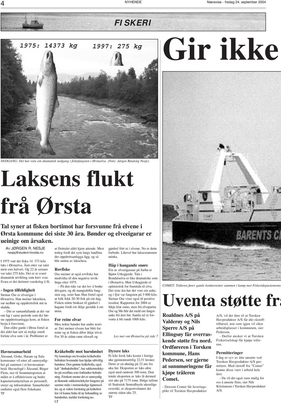 NESJE nesjej@student.hivolda.no I 1975 vart det fiska 14 373 kilo laks i Ørstaelva. Året etter var talet meir enn halvert. Og 22 år seinare var talet 275 kilo.