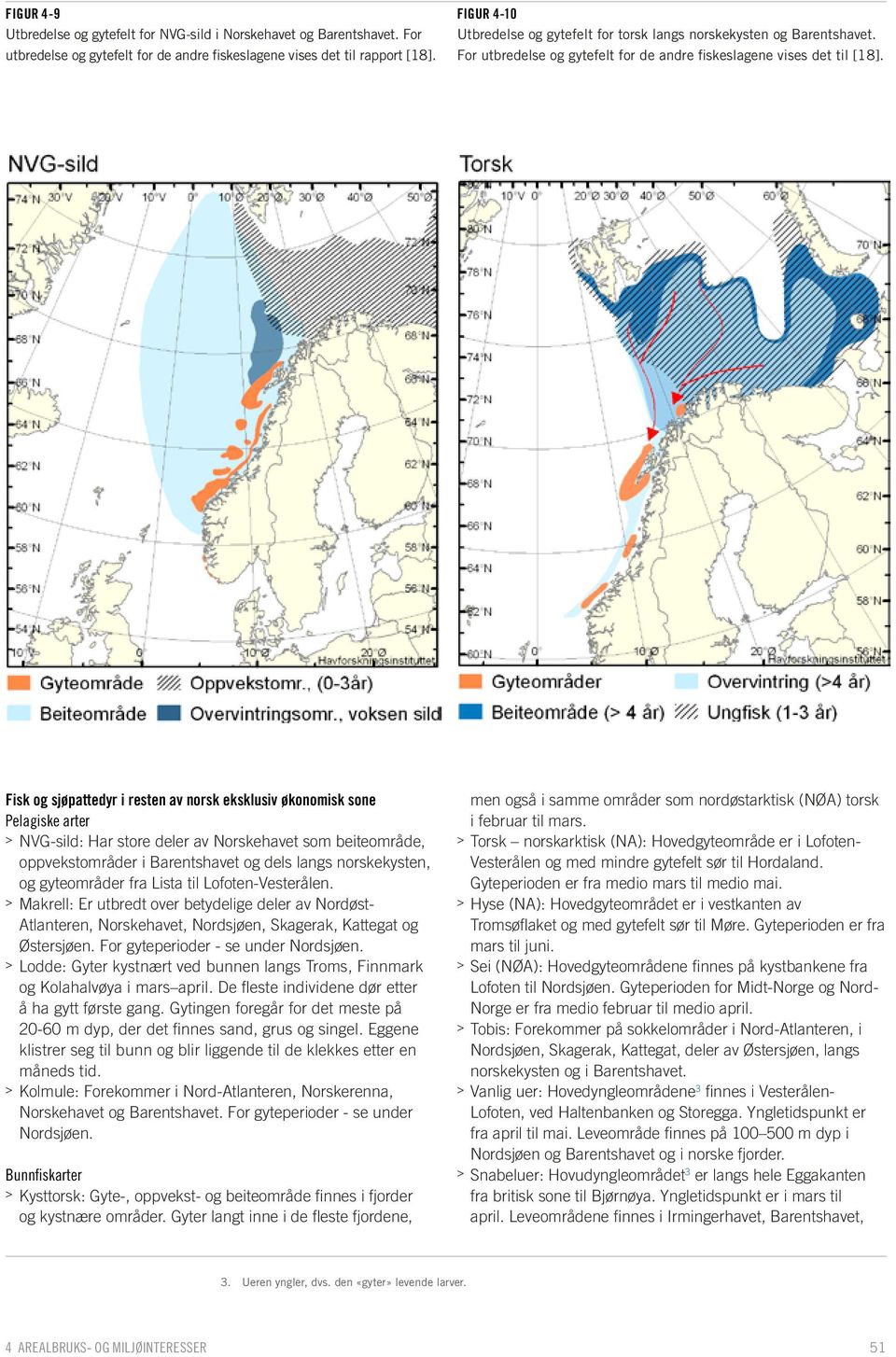 Fisk og sjøpattedyr i resten av norsk eksklusiv økonomisk sone Pelagiske arter > > NVG-sild: Har store deler av Norskehavet som beiteområde, oppvekstområder i Barentshavet og dels langs norskekysten,