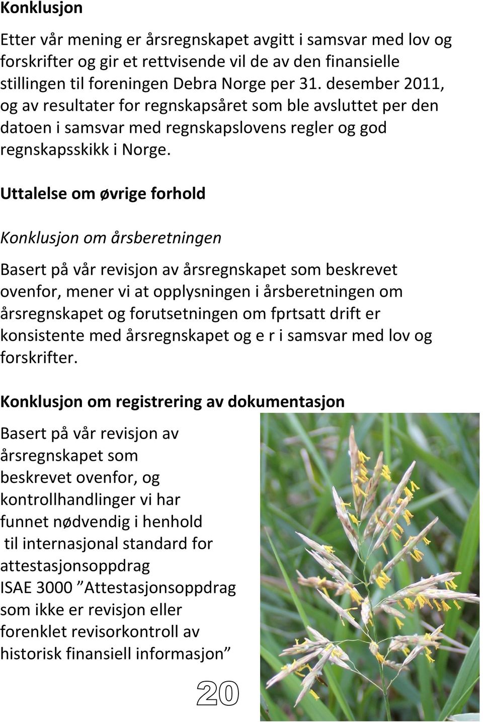 Uttalelse om øvrige forhold Konklusjon om årsberetningen Basert på vår revisjon av årsregnskapet som beskrevet ovenfor, mener vi at opplysningen i årsberetningen om årsregnskapet og forutsetningen om