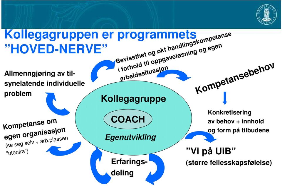 problem Kollegagruppe COACH Konkretisering av behov + innhold og form på tilbudene Kompetanse om egen