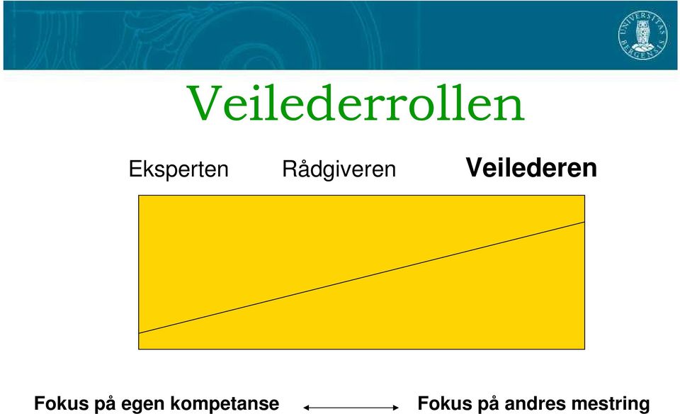 Veilederen Fokus på