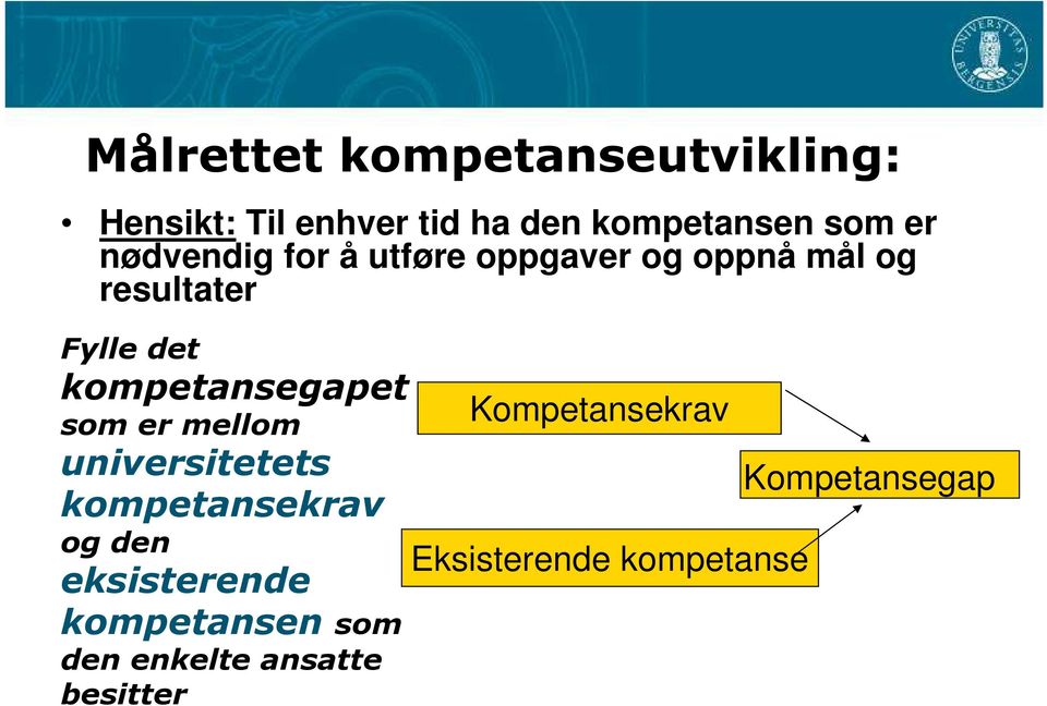 kompetansegapet som er mellom Kompetansekrav universitetets Kompetansegap