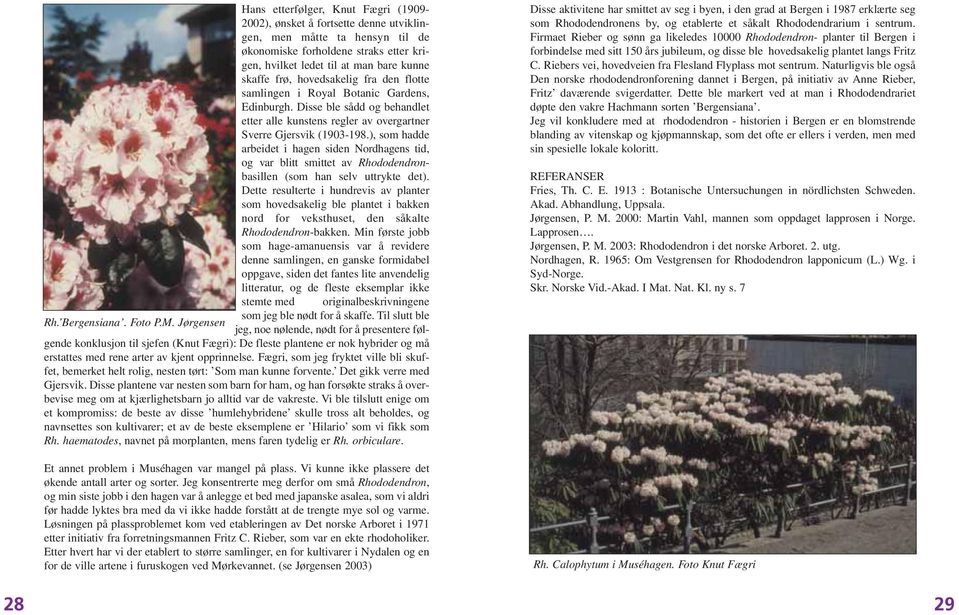 ), som hadde arbeidet i hagen siden Nordhagens tid, og var blitt smittet av Rhododendronbasillen (som han selv uttrykte det).