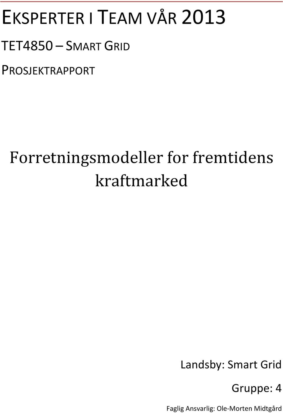 for fremtidens kraftmarked Landsby: Smart