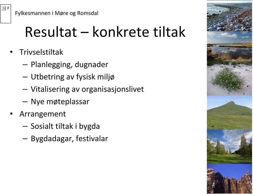 Vitalisering av organisasjonslivet Nye