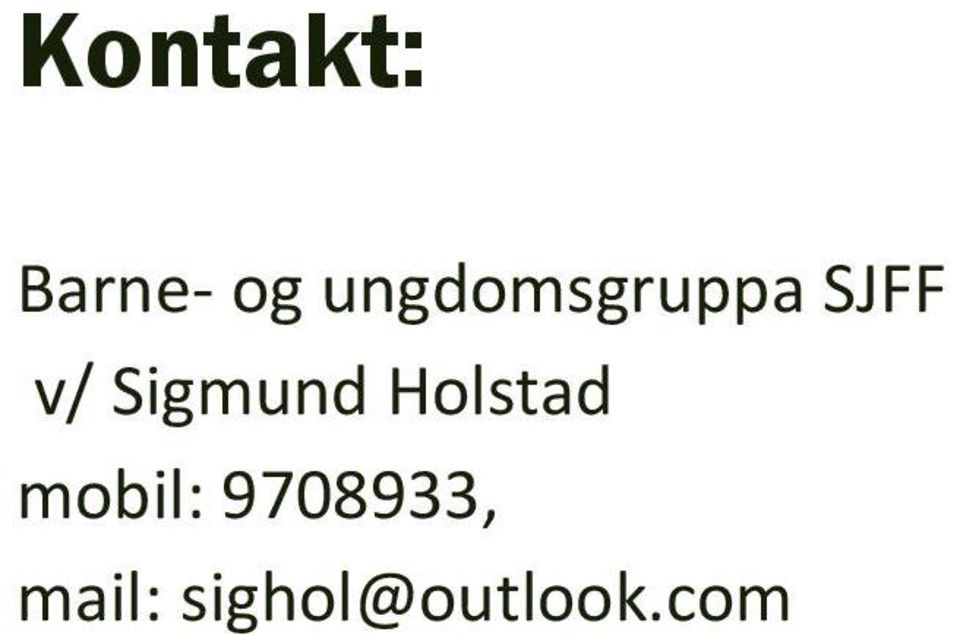 Sigmund Holstad mobil: