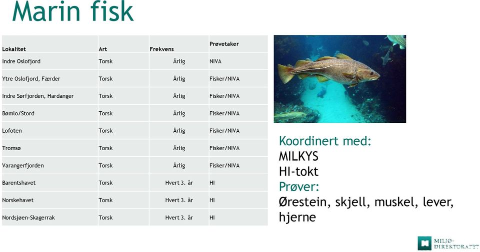 Tromsø Torsk Årlig Fisker/NIVA Varangerfjorden Torsk Årlig Fisker/NIVA Barentshavet Torsk Hvert 3.