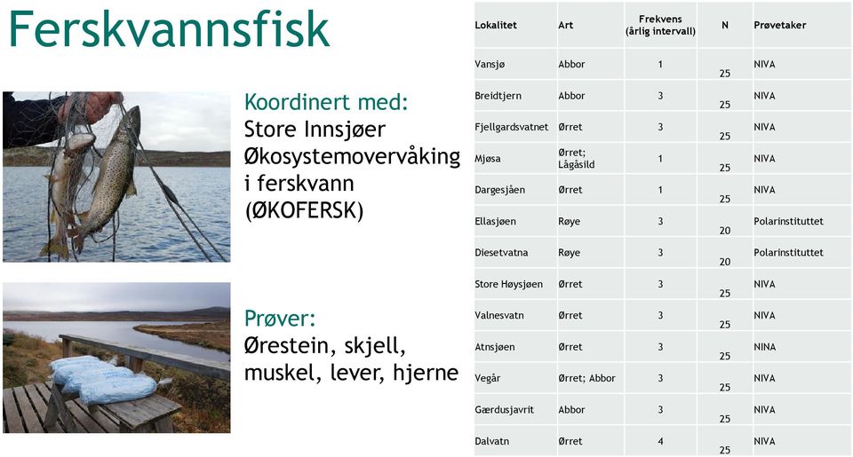 NIVA NIVA NIVA NIVA Polarinstituttet Diesetvatna Røye 3 20 Polarinstituttet Prøver: Ørestein, skjell, muskel, lever, hjerne Store Høysjøen