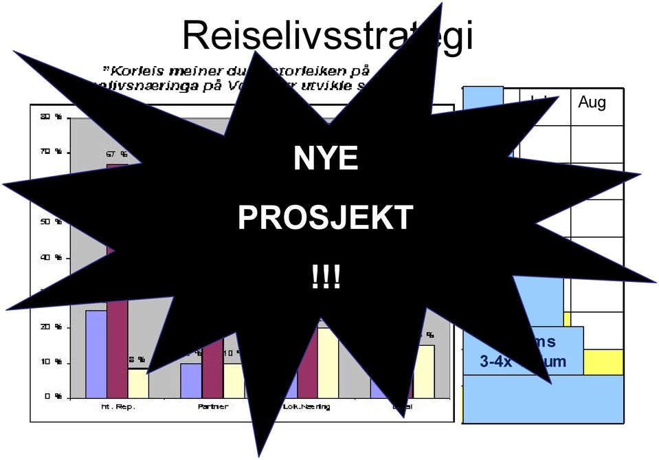 Reiselivsstrategi Profil NYE PROSJEKT!