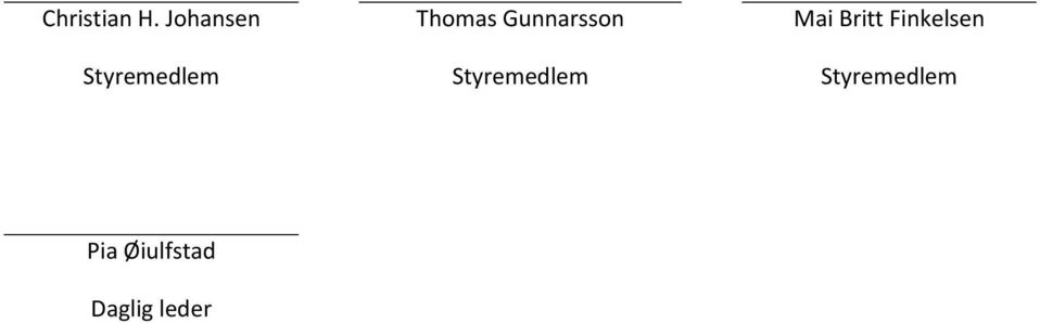 Gunnarsson Styremedlem Mai