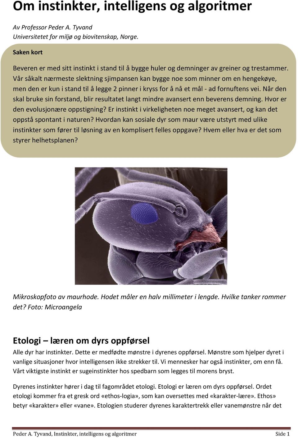 Vår såkalt nærmeste slektning sjimpansen kan bygge noe som minner om en hengekøye, men den er kun i stand til å legge 2 pinner i kryss for å nå et mål - ad fornuftens vei.