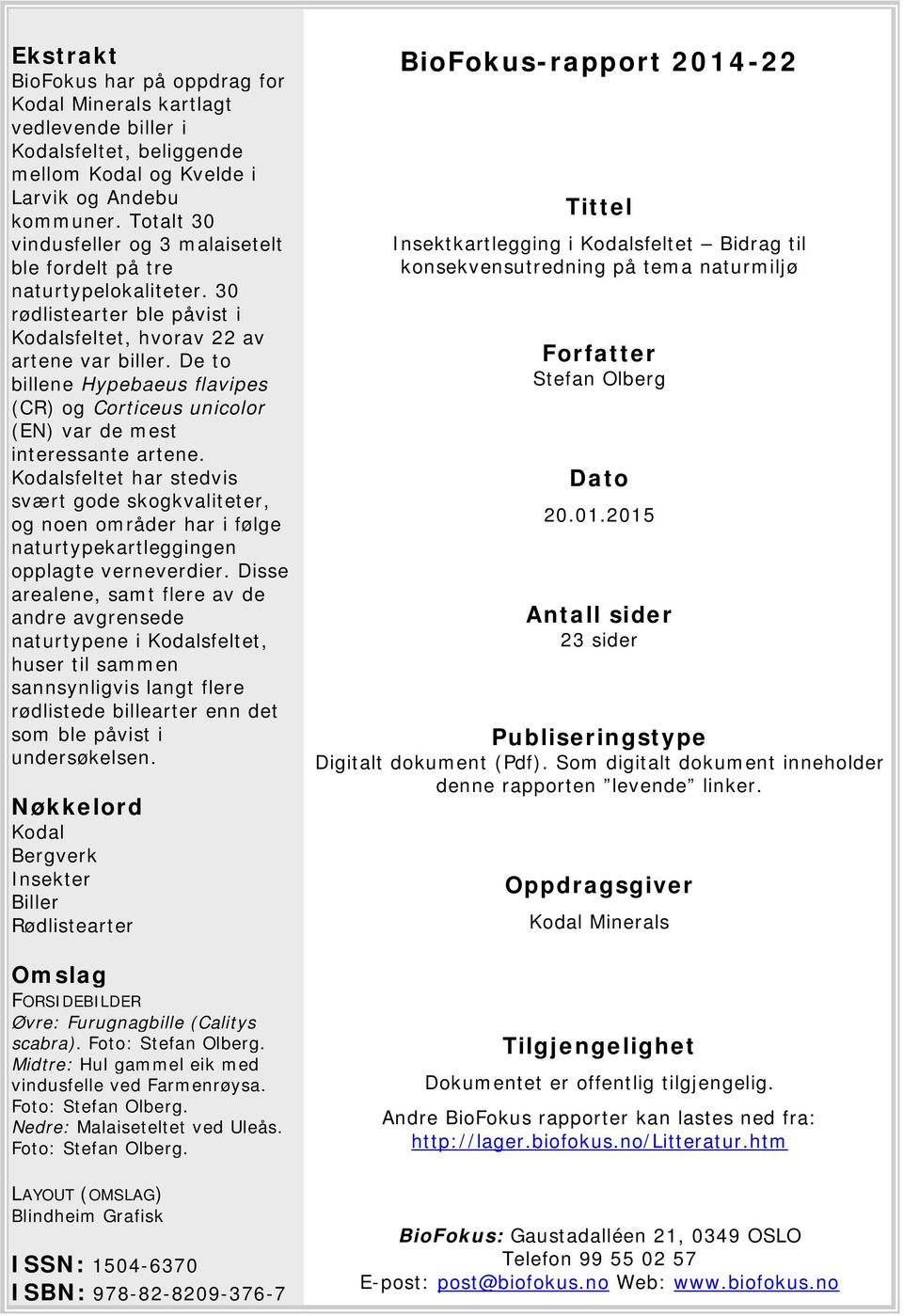 De to billene Hypebaeus flavipes (CR) og Corticeus unicolor (EN) var de mest interessante artene.