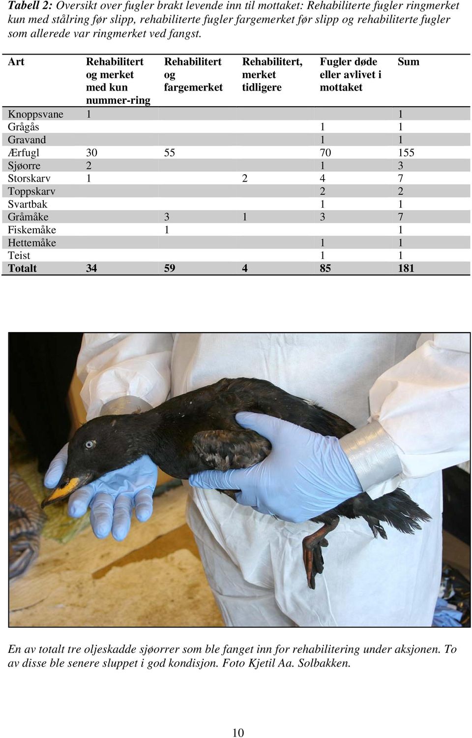 Art Rehabilitert og merket med kun nummer-ring Rehabilitert og fargemerket Rehabilitert, merket tidligere Fugler døde eller avlivet i mottaket Knoppsvane 1 1 Grågås 1 1 Gravand 1 1