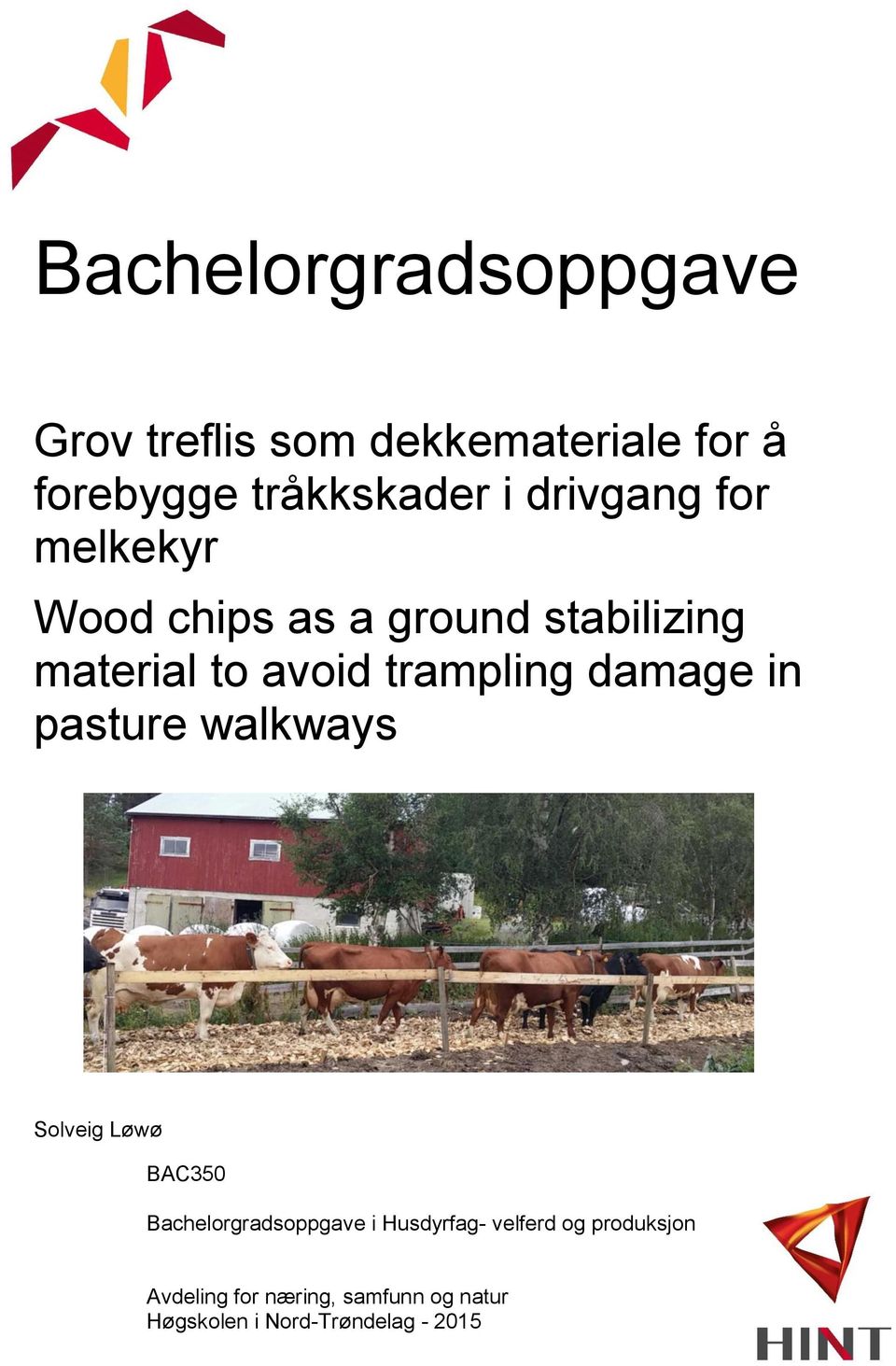 damage in pasture walkways Solveig Løwø BAC350 Bachelorgradsoppgave i Husdyrfag-