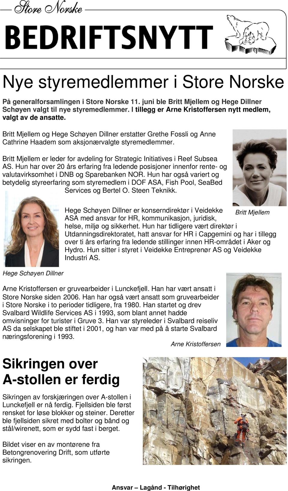 Britt Mjellem er leder for avdeling for Strategic Initiatives i Reef Subsea AS. Hun har over 20 års erfaring fra ledende posisjoner innenfor rente- og valutavirksomhet i DNB og Sparebanken NOR.