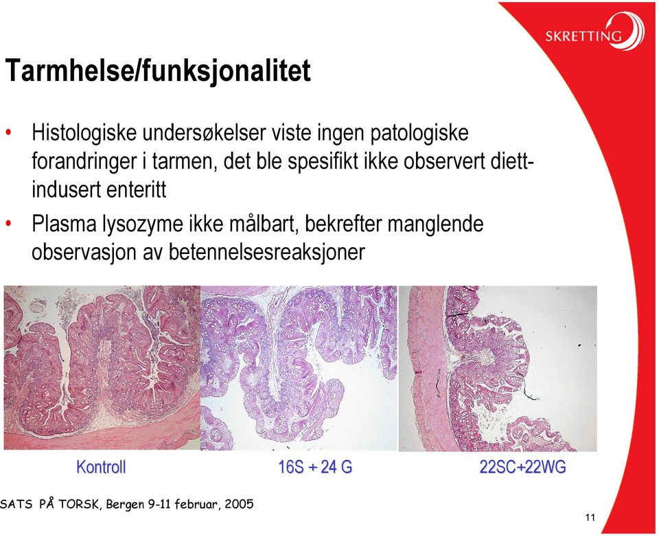 diettindusert enteritt Plasma lysozyme ikke målbart, bekrefter