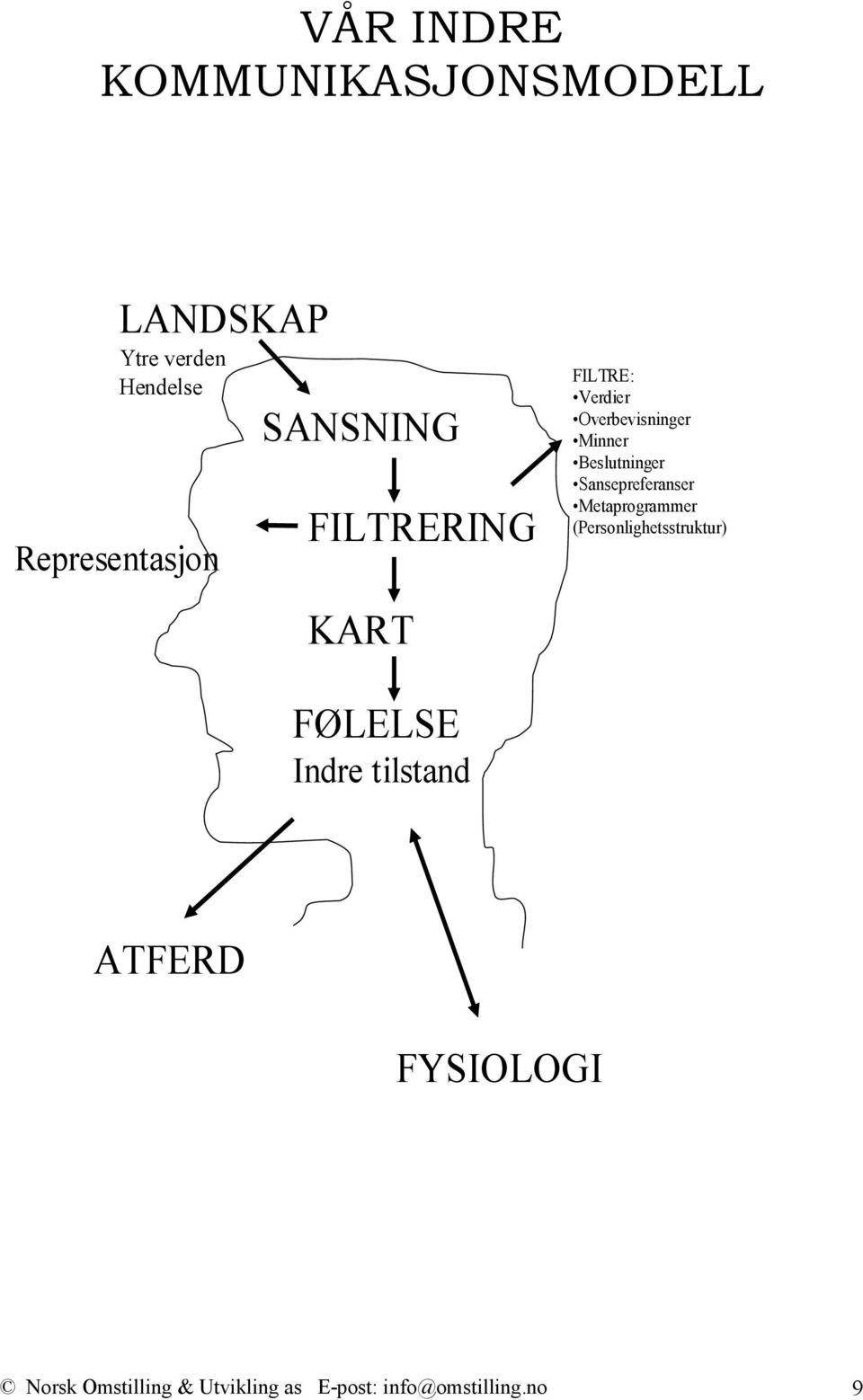 Beslutninger Sansepreferanser Metaprogrammer (Personlighetsstruktur) FØLELSE