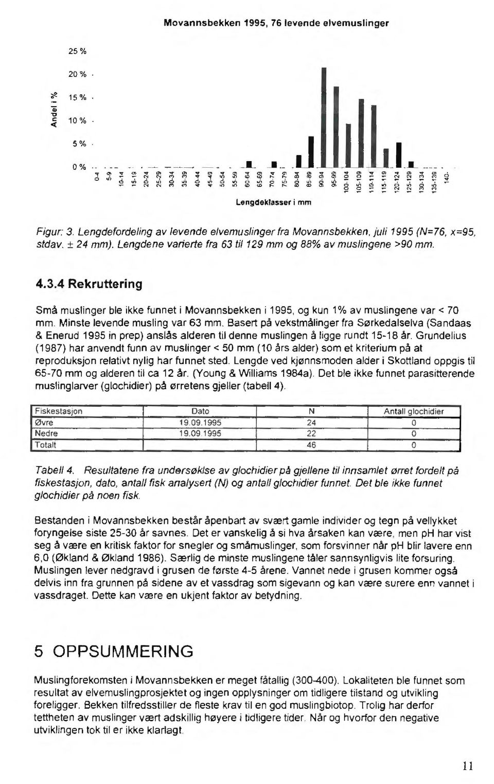 Lengdene varierte fra 63 til 129 mm og 88% av muslingene >90 mm. 4.3.4 Rekruttering Små muslinger ble ikke funnet i Movannsbekken i 1995, og kun 1 % av muslingene var < 70 mm.