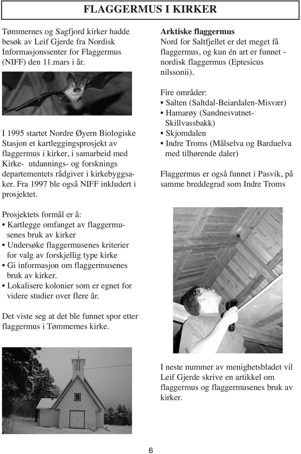 Fra 1997 ble også NIFF inkludert i prosjektet. Arktiske flaggermus Nord for Saltfjellet er det meget få flaggermus, og kun én art er funnet - nordisk flaggermus (Eptesicus nilssonii).