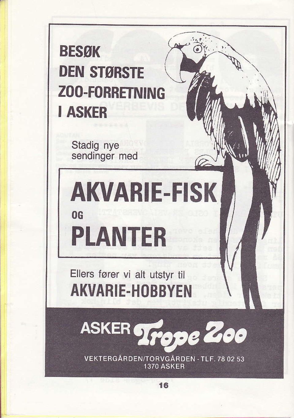 AKVARIE-FISK OG PLANTER Ellers