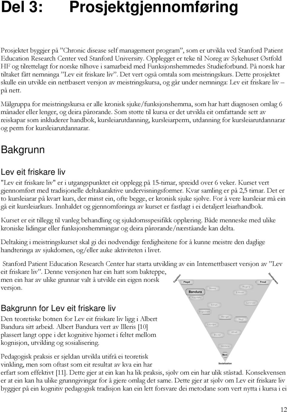 Det vert også omtala som meistringskurs. Dette prosjektet skulle ein utvikle ein nettbasert versjon av meistringskursa, og går under nemninga: Lev eit friskare liv på nett.