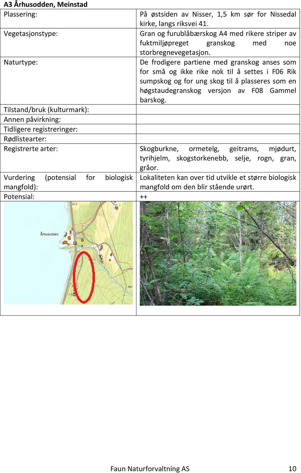 De frodigere partiene med granskog anses som for små og ikke rike nok til å settes i F06 Rik sumpskog og for ung skog til å plasseres som en høgstaudegranskog versjon