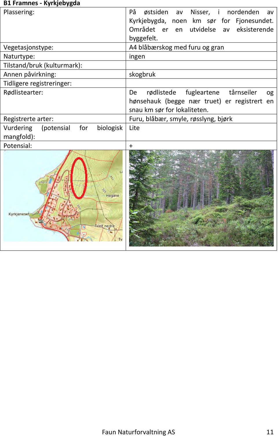 A4 blåbærskog med furu og gran ingen skogbruk De rødlistede fugleartene tårnseiler og hønsehauk (begge nær