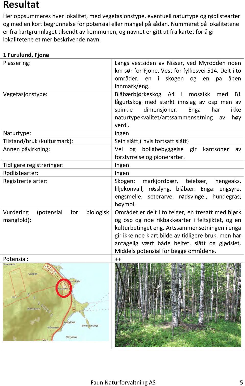 1 Furulund, Fjone Langs vestsiden av Nisser, ved Myrodden noen km sør for Fjone. Vest for fylkesvei 514. Delt i to områder, en i skogen og en på åpen innmark/eng.