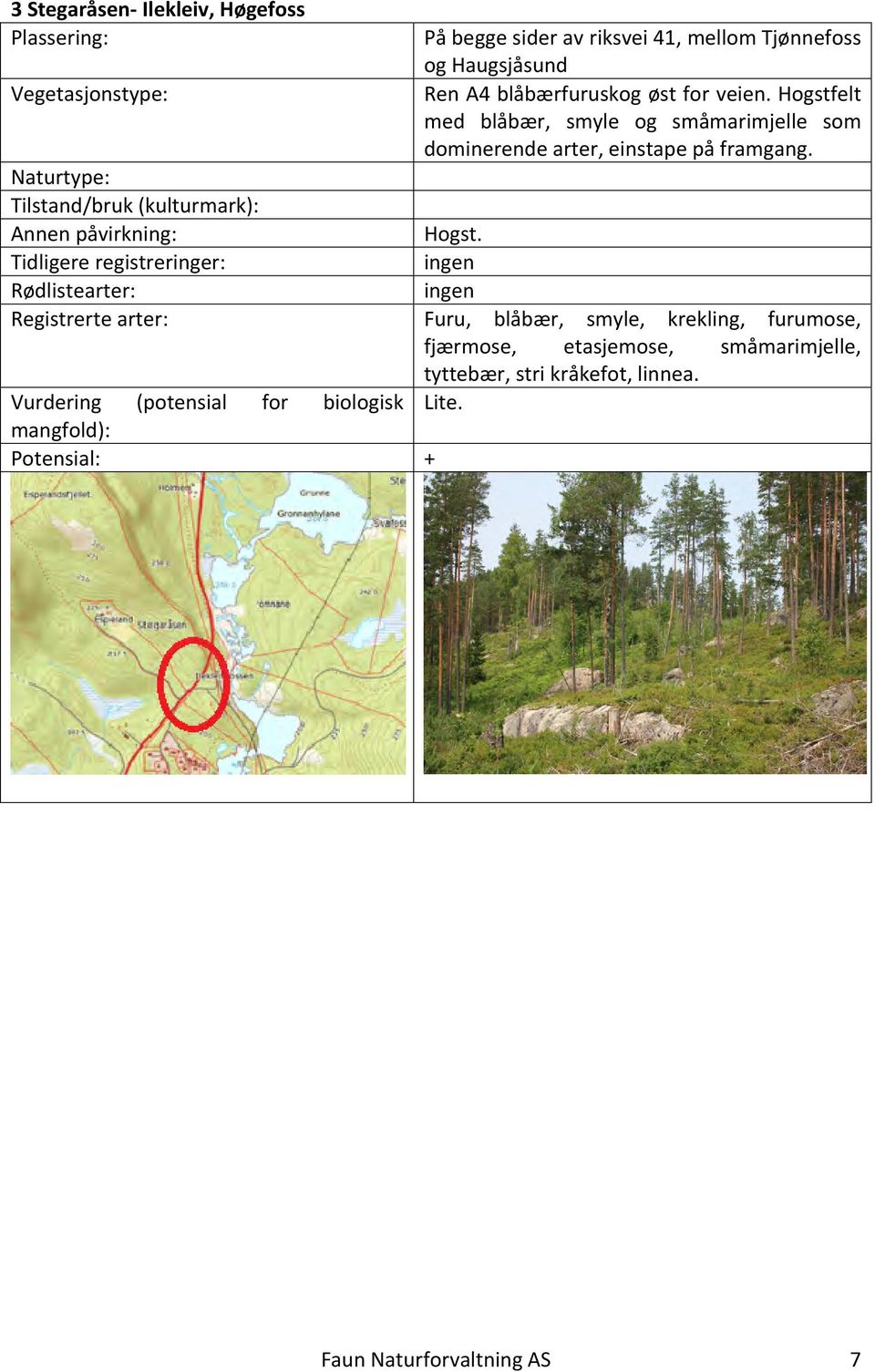 Hogstfelt med blåbær, smyle og småmarimjelle som dominerende arter, einstape på framgang. Hogst.