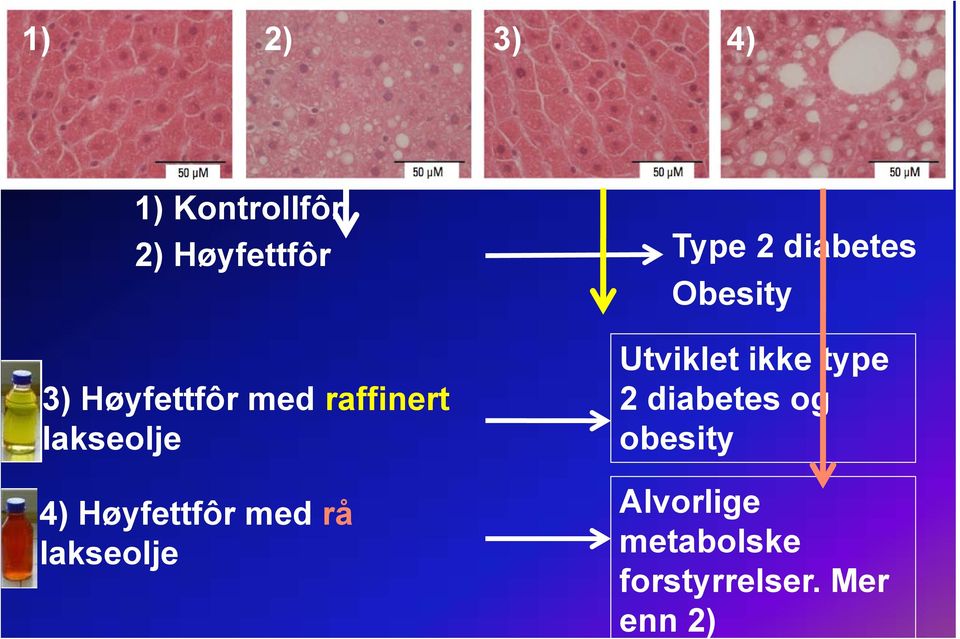 4) Høyfettfôr med rå lakseolje Type 2 diabetes Obesity Utviklet