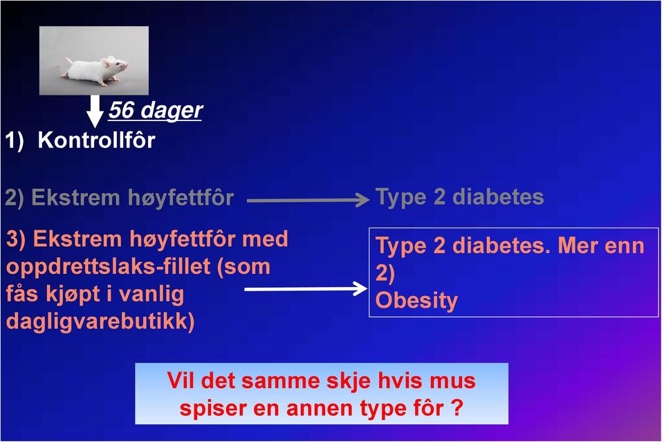 (som fås kjøpt i vanlig dagligvarebutikk) Type 2 diabetes.