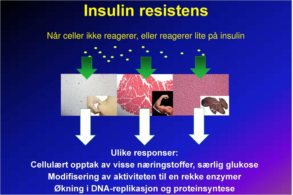 næringstoffer, særlig glukose Modifisering av aktiviteten