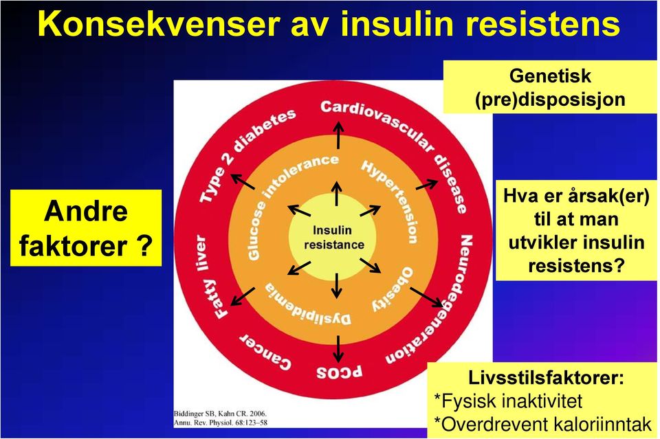 Hva er årsak(er) til at man utvikler insulin