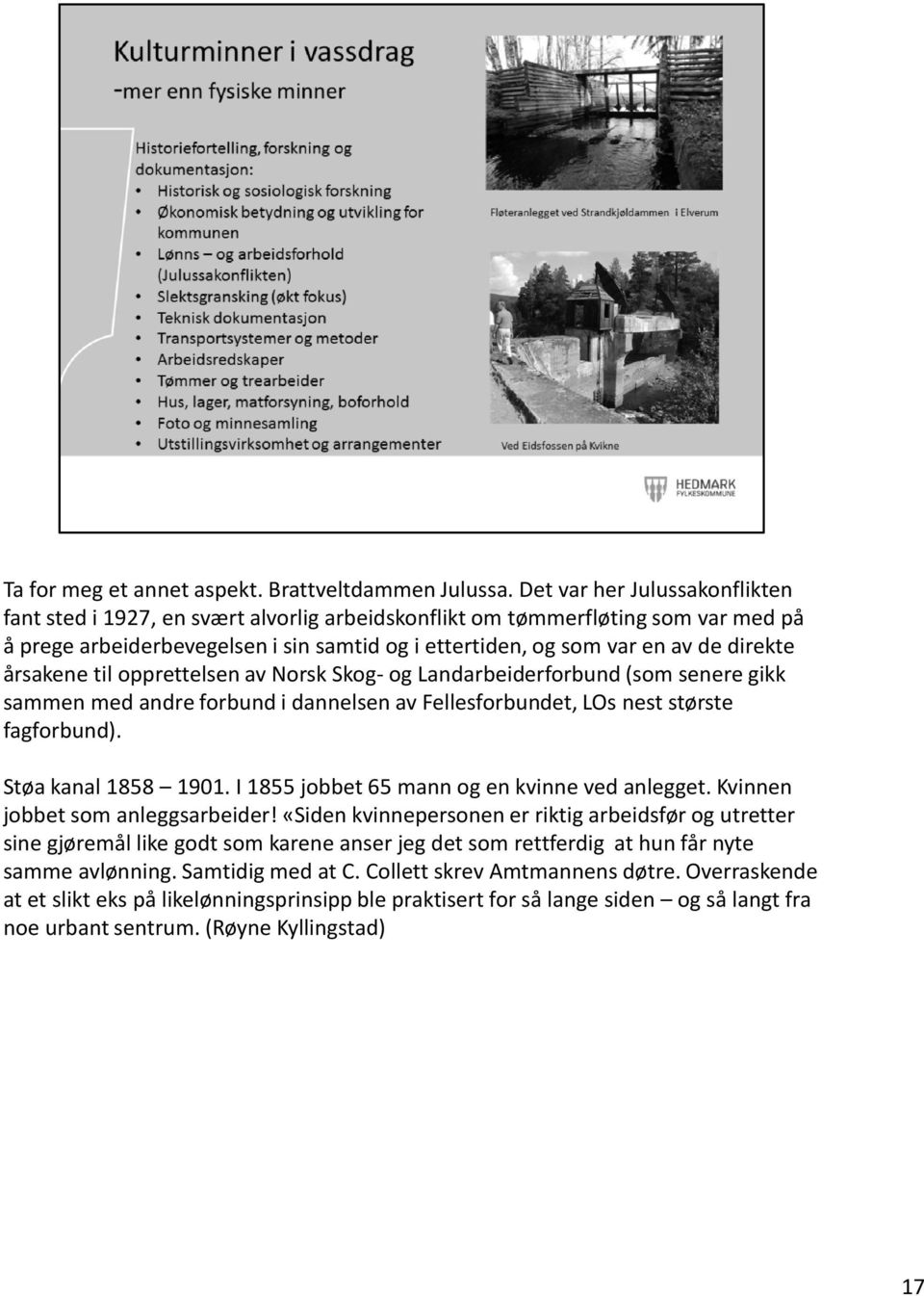 årsakene til opprettelsen av Norsk Skog- og Landarbeiderforbund (som senere gikk sammen med andre forbund i dannelsen av Fellesforbundet, LOs nest største fagforbund). Støa kanal 1858 1901.