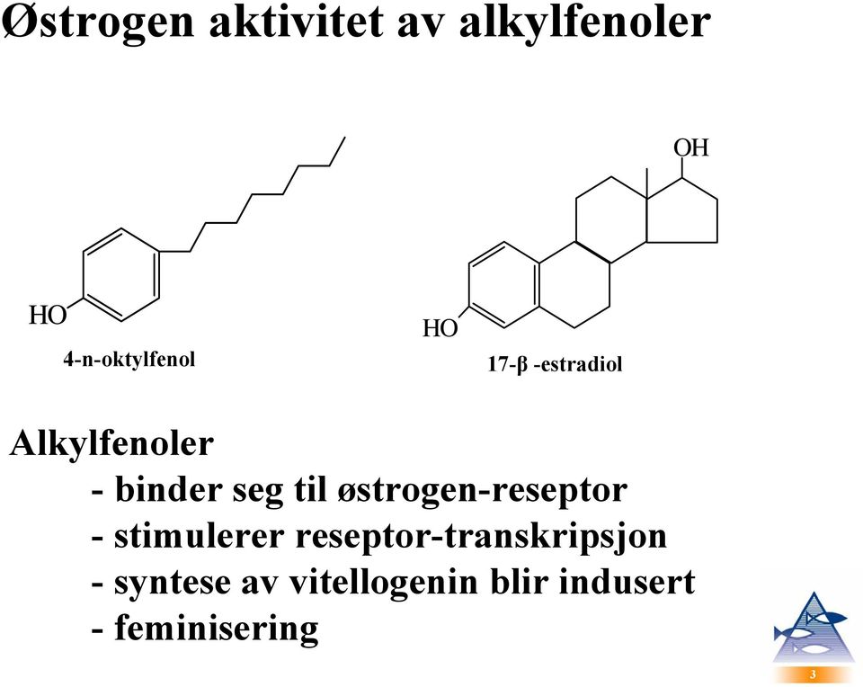 binder seg til østrogen-reseptor - stimulerer