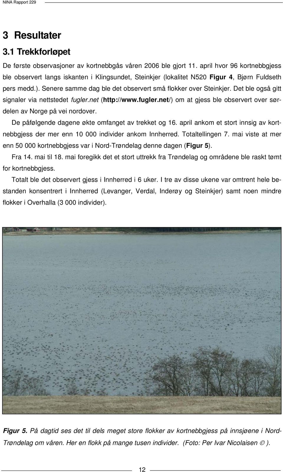 Det ble også gitt signaler via nettstedet fugler.net (http://www.fugler.net/) om at gjess ble observert over sørdelen av Norge på vei nordover. De påfølgende dagene økte omfanget av trekket og 16.