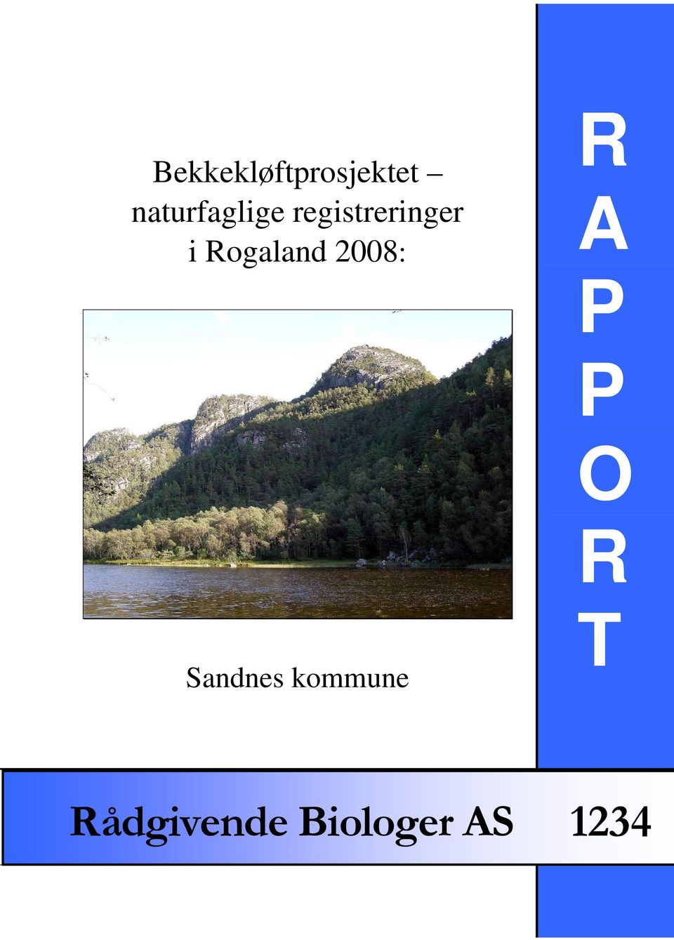 Rogaland 2008: R A P P O R