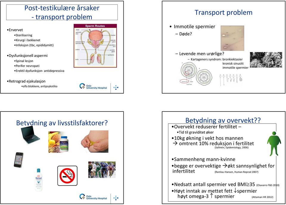 Kartageners syndrom: bronkiektasier kronisk sinusitt immotile spermier Retrograd ejakulasjon alfa blokkere, antipsykotika Betydning av livsstilsfaktorer? Betydning av overvekt?