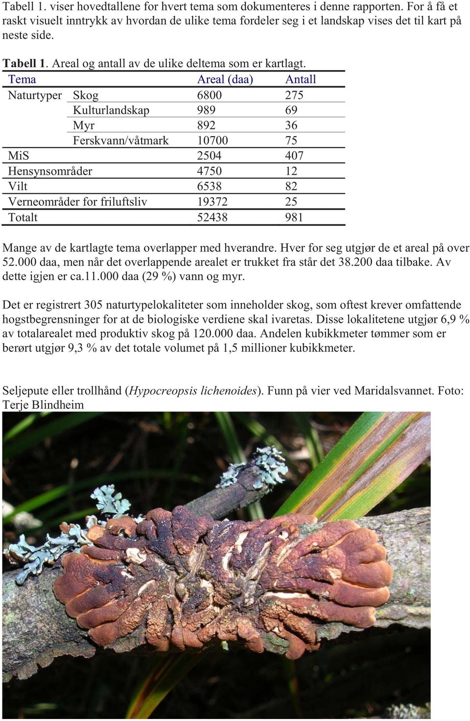 Tema Areal (daa) Antall Naturtyper Skog 6800 275 Kulturlandskap 989 69 Myr 892 36 Ferskvann/våtmark 10700 75 MiS 2504 407 Hensynsområder 4750 12 Vilt 6538 82 Verneområder for friluftsliv 19372 25