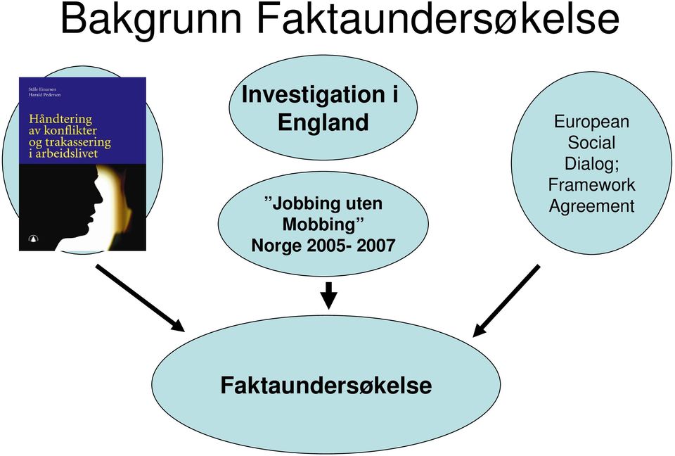 Mobbing Norge 2005-2007 European