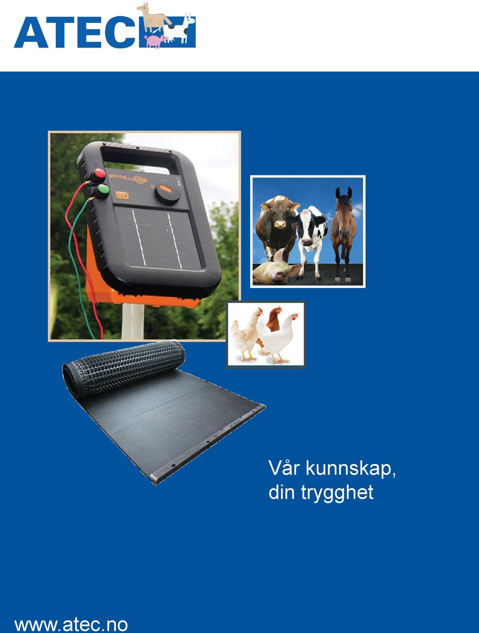 kunnskap,