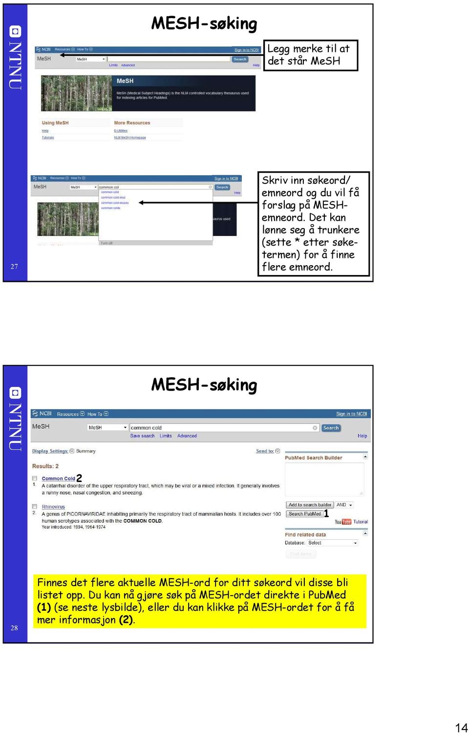 MESH-søking 8 Finnes det flere aktuelle MESH-ord for ditt søkeord vil disse bli listet opp.