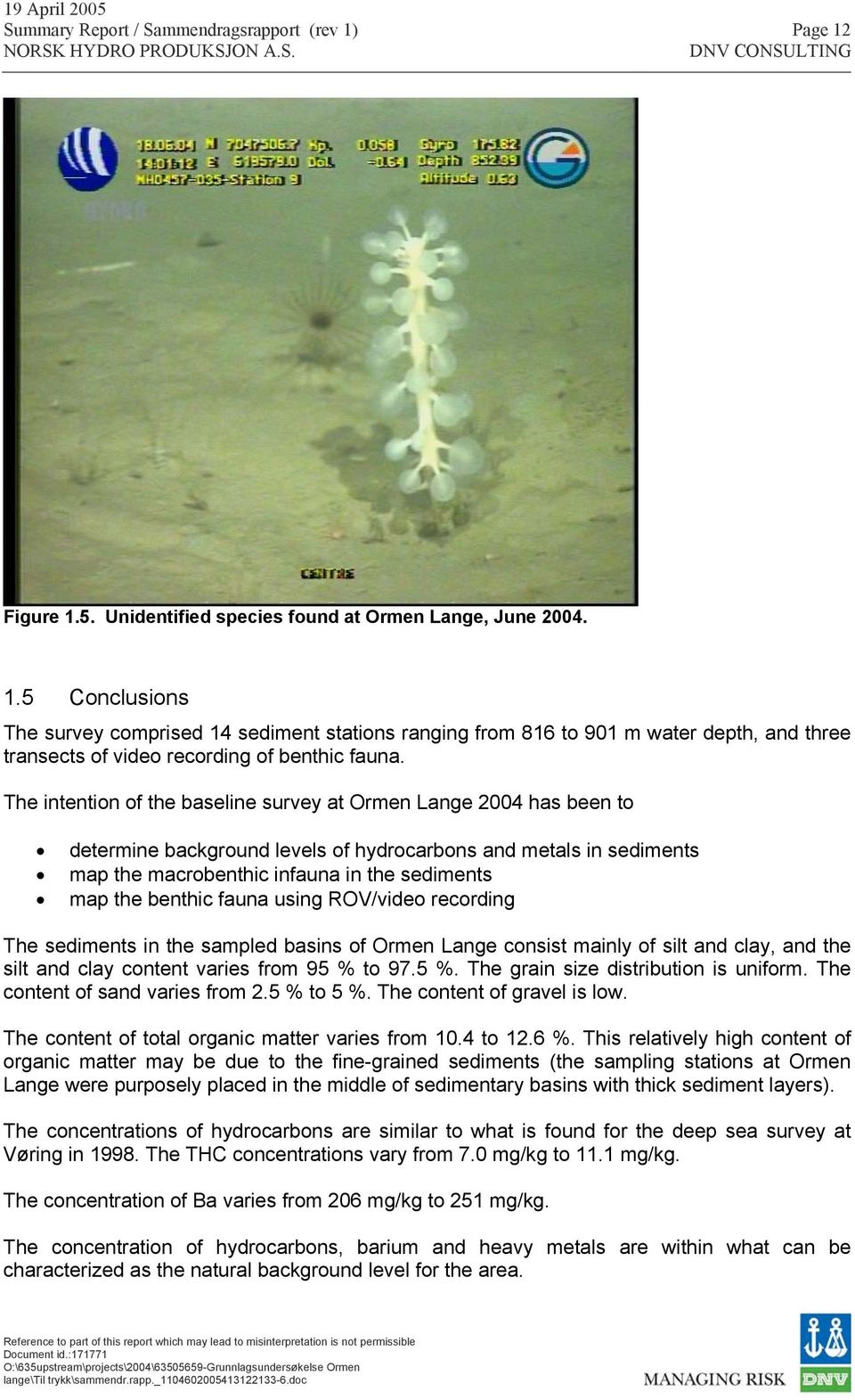 fauna using ROV/video recording The sediments in the sampled basins of Ormen Lange consist mainly of silt and clay, and the silt and clay content varies from 95 % 