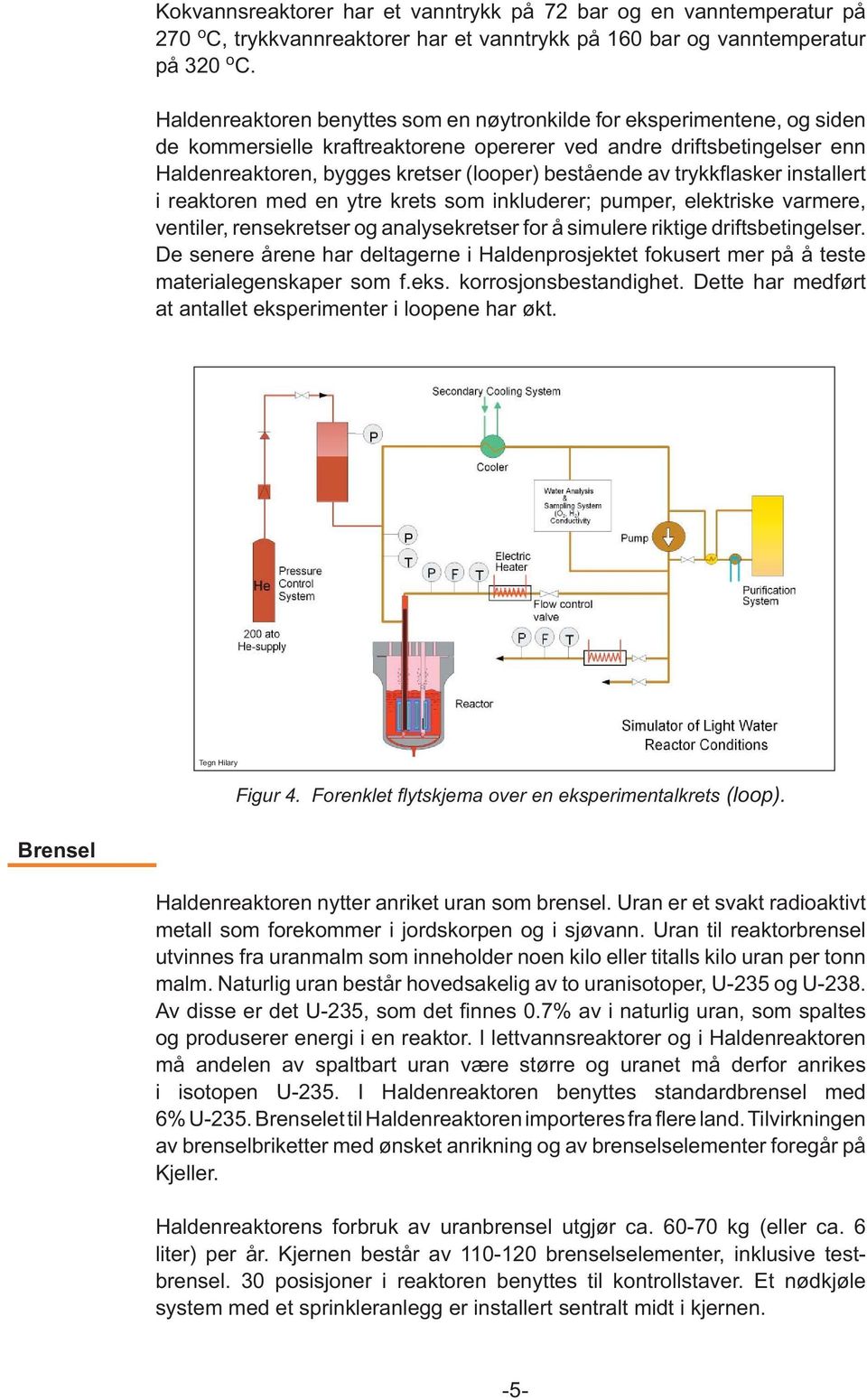 av trykkfl asker installert i reaktoren med en ytre krets som inkluderer; pumper, elektriske varmere, ventiler, rensekretser og analysekretser for å simulere riktige driftsbetingelser.