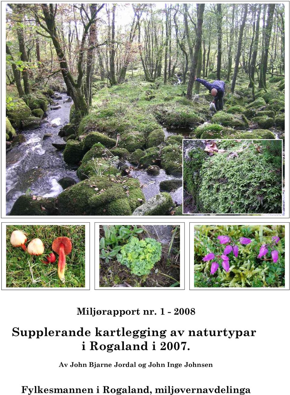 naturtypar i Rogaland i 2007.