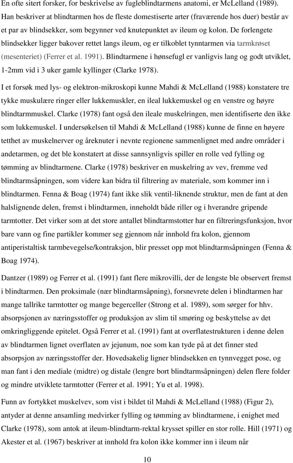 De forlengete blindsekker ligger bakover rettet langs ileum, og er tilkoblet tynntarmen via tarmkrøset (mesenteriet) (Ferrer et al. 1991).