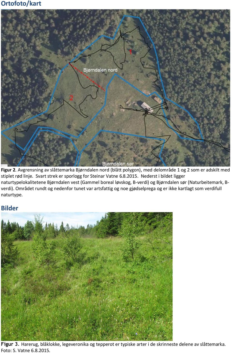 Nederst i bildet ligger naturtypelokalitetene Bjørndalen vest (Gammel boreal løvskog, B-verdi) og Bjørndalen sør (Naturbeitemark, B- verdi).