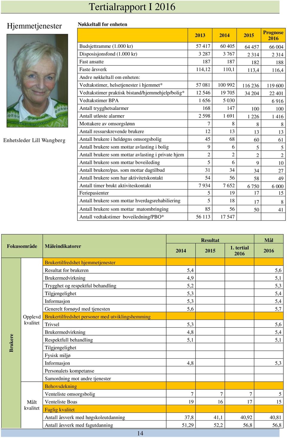 Vedtakstimer praktisk bistand/hjemmehjelp/bolig* 12 546 19 705 34 204 22 401 Vedtakstimer BPA 1 656 5 030 6 916 Antall trygghetsalarmer 168 147 100 100 Antall utløste alarmer 2 598 1 691 1 226 1 416